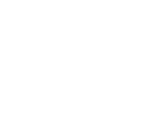 Logo Le Salon Des Futurs mariés en blanc